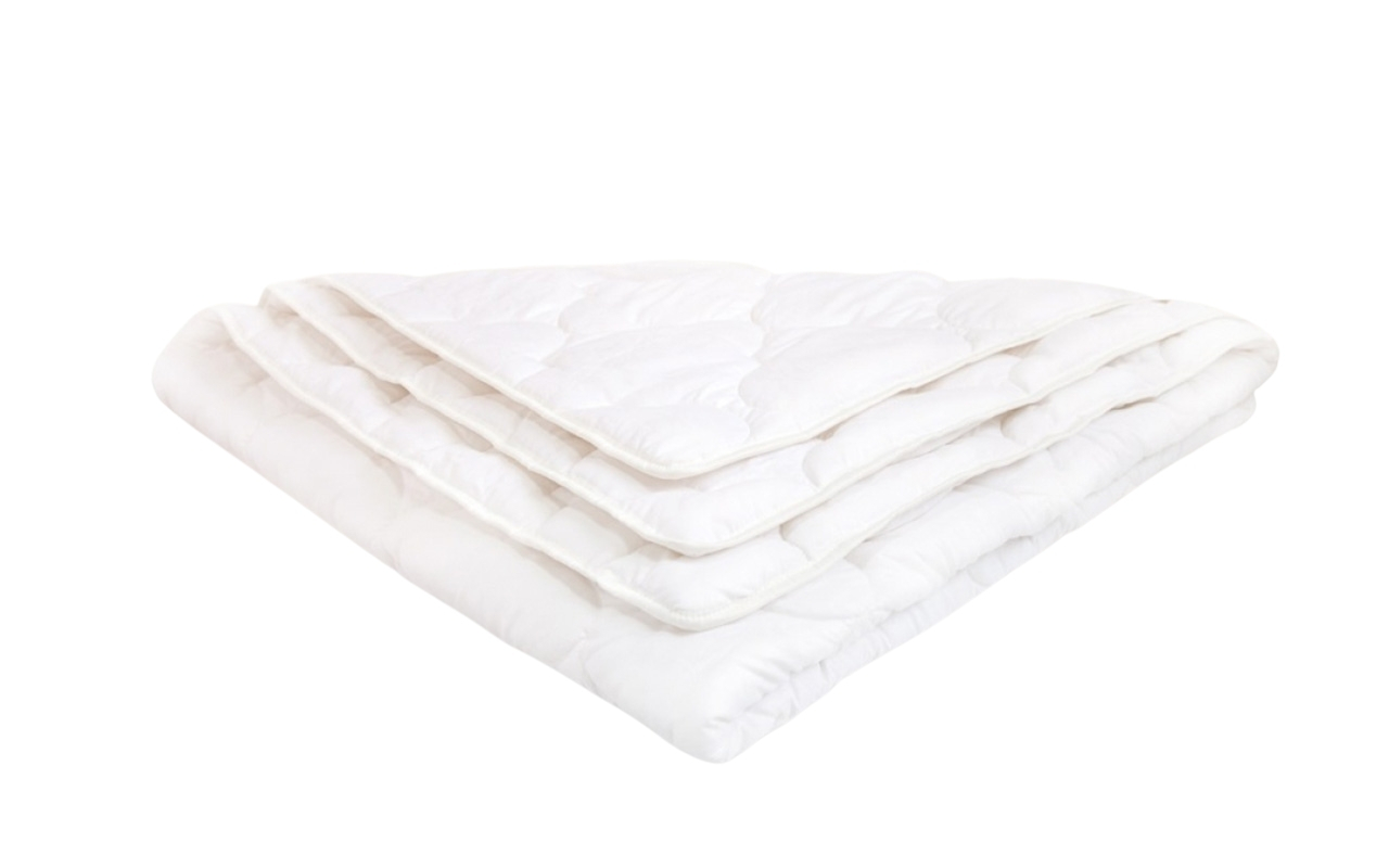 одеяло DreamLine Шелк (зимнее) 1 DreamLine Шелк (зимнее)